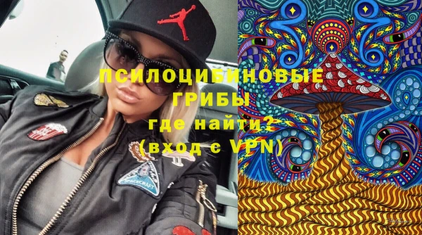 крисы Пестово