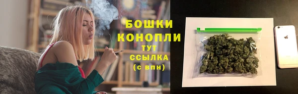 хмурый Магас