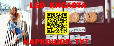 индика Бийск