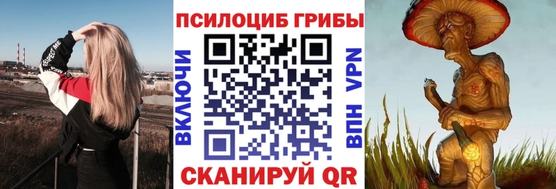 mega ТОР  Кубинка  Псилоцибиновые грибы Magic Shrooms  цены  