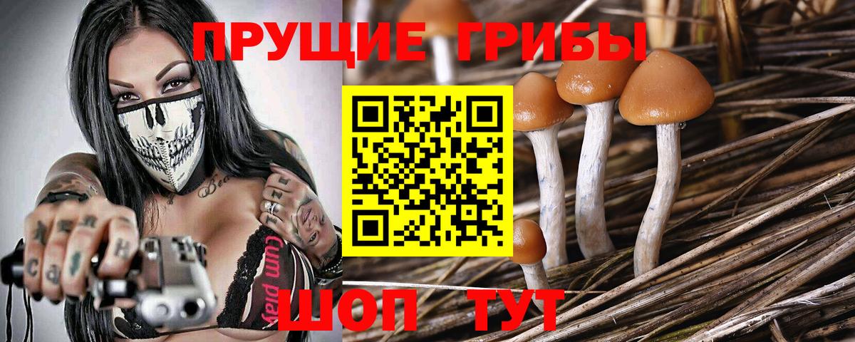 Псилоцибиновые грибы ЛСД Кубинка