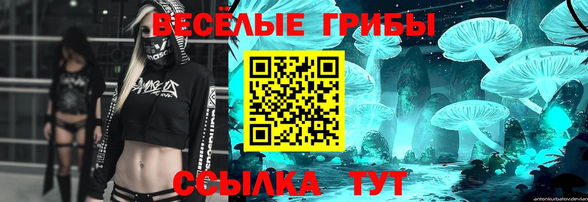 Псилоцибиновые грибы прущие грибы  Кубинка  Псилоцибиновые грибы ЛСД 